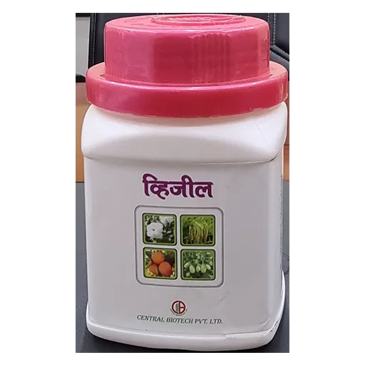 व्हिजिल