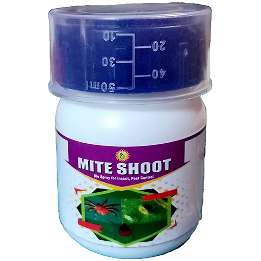 माईटशूट